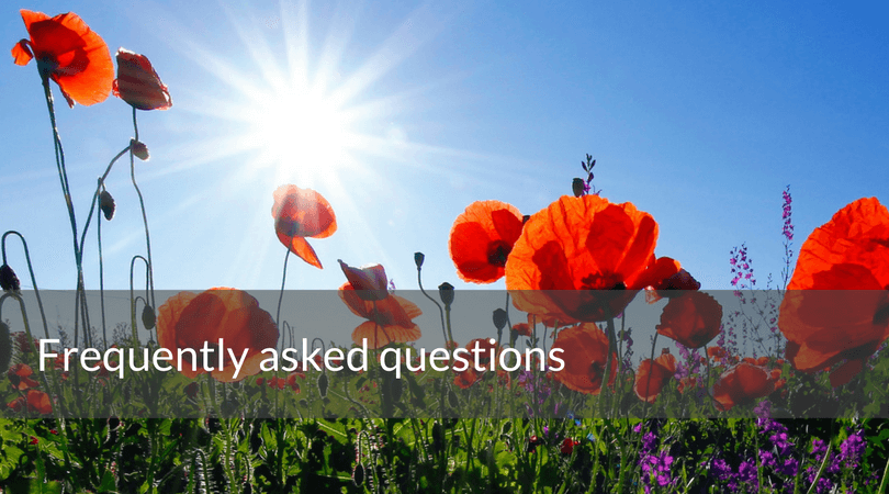Frequently asked questions. orange flowers fan hero image